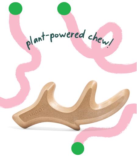 Honestchew Antler