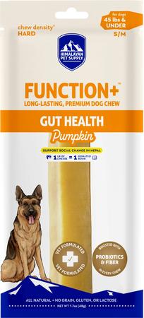Function+ Gut Health Chew Pumpkin Flavored 