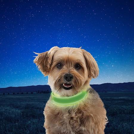 Nite Ize Rechargeable LED Collar - Lime